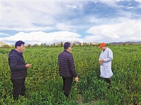 三农(农村、农业、农民) 三农(农村、农业、农民)